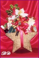 A Holiday Star